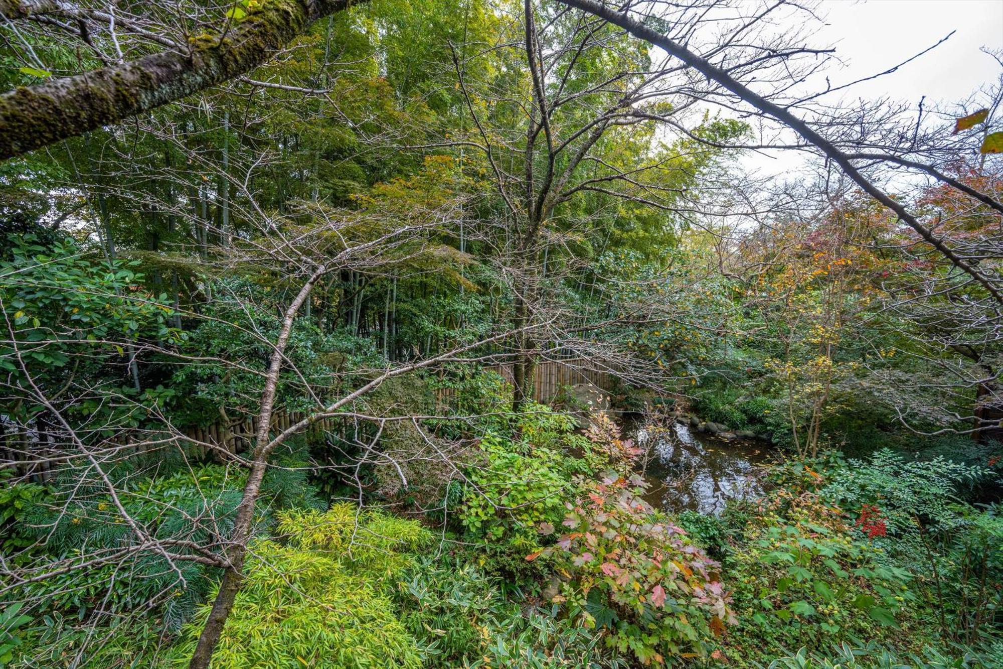 Jinya Ryokan Hadano Exterior foto